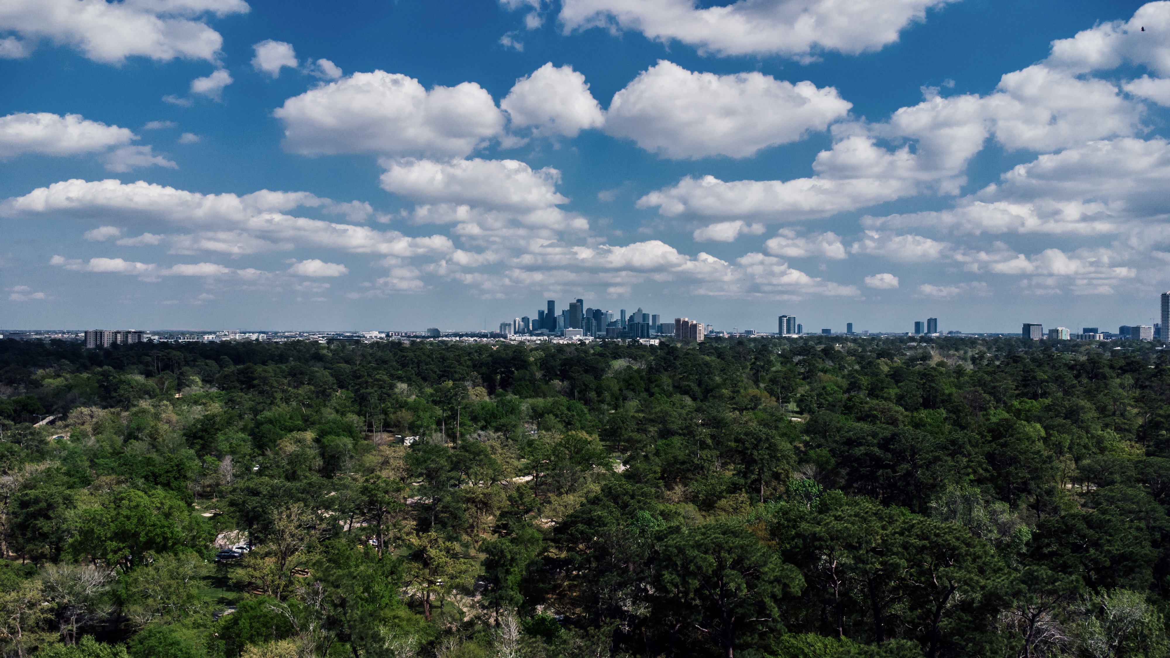 Nature Photography - port11