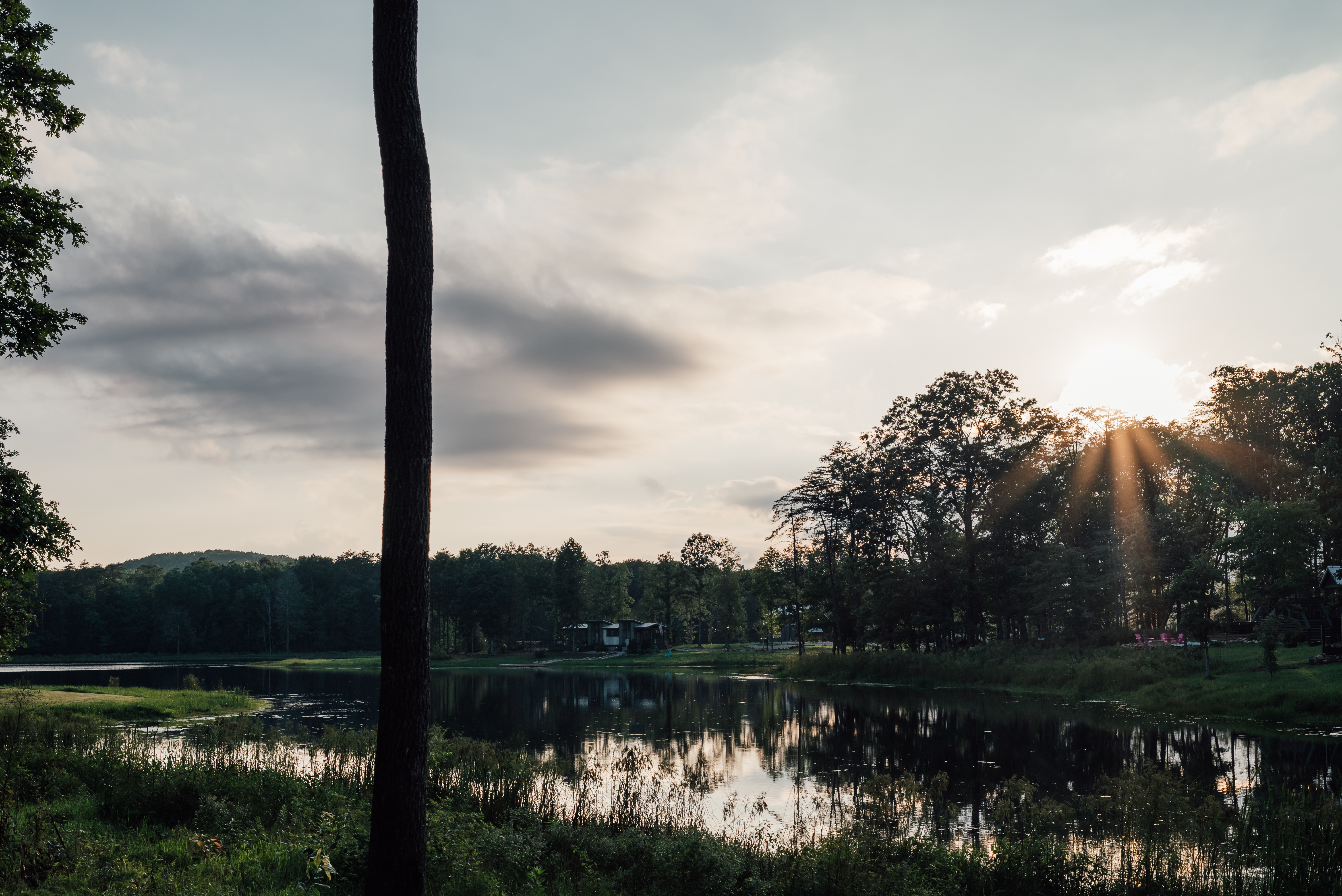 Nature Photography - port13