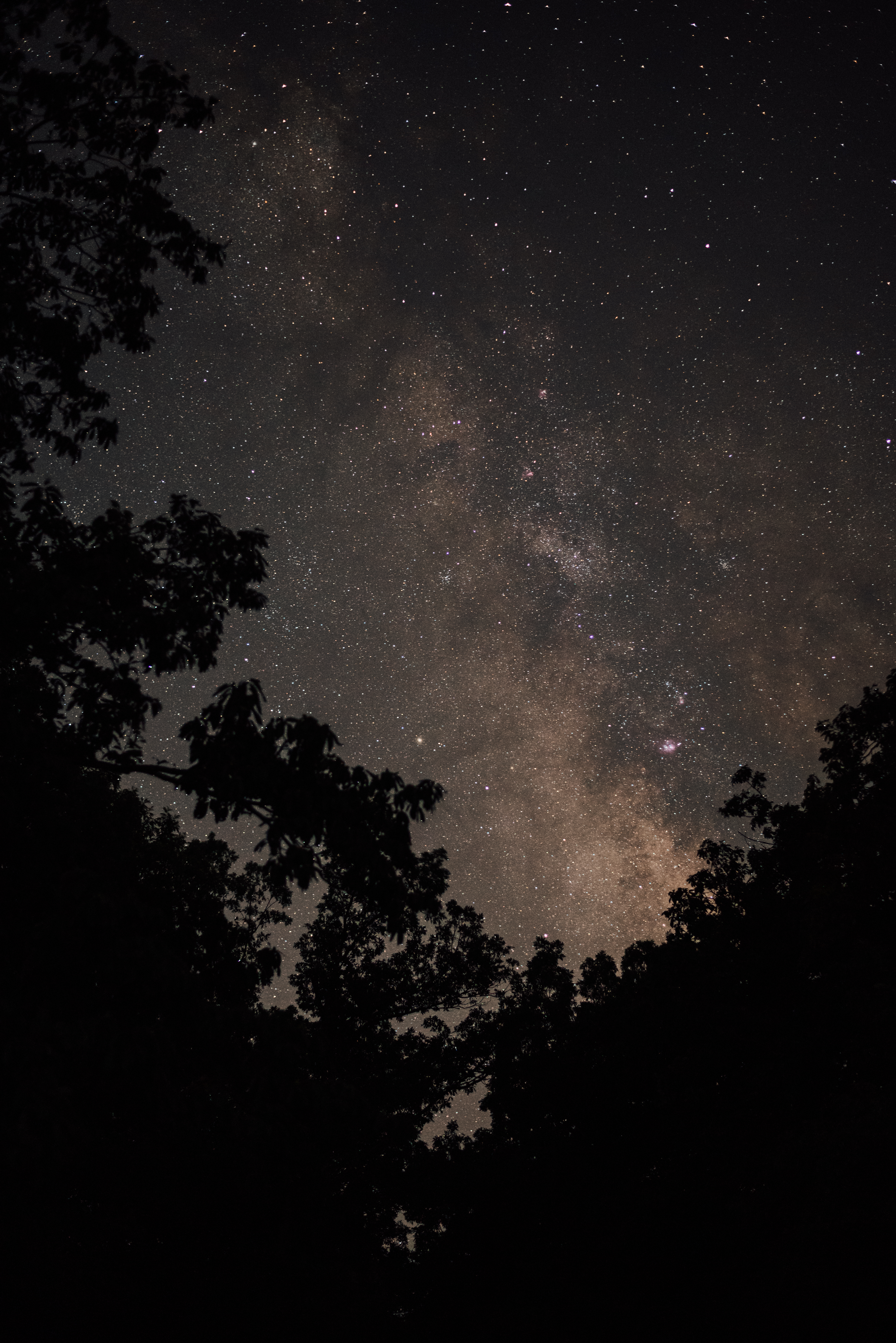 Photography Sample 2
